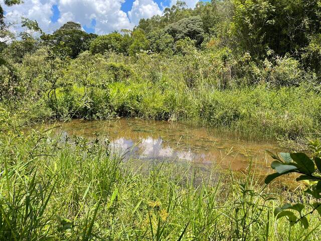 #45 - Sítio para Venda em Itaguara - MG - 3