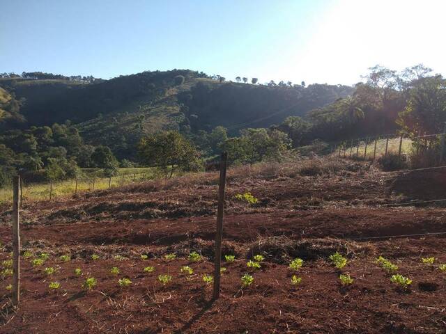 #161 - Terreno para Venda em Rio Manso - MG - 3