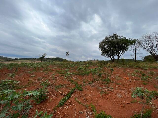 #292 - Área para Venda em Itaguara - MG