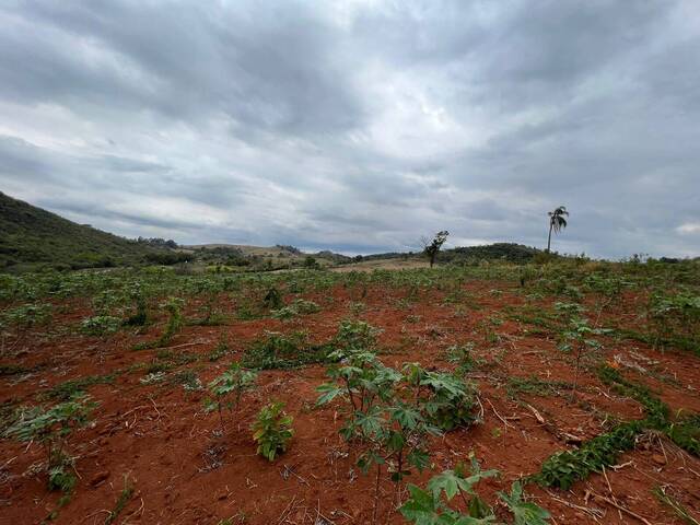 #292 - Área para Venda em Itaguara - MG