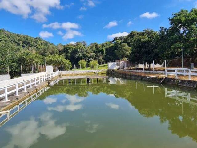 #324 - Fazenda para Venda em Itatiaiuçu - MG - 2