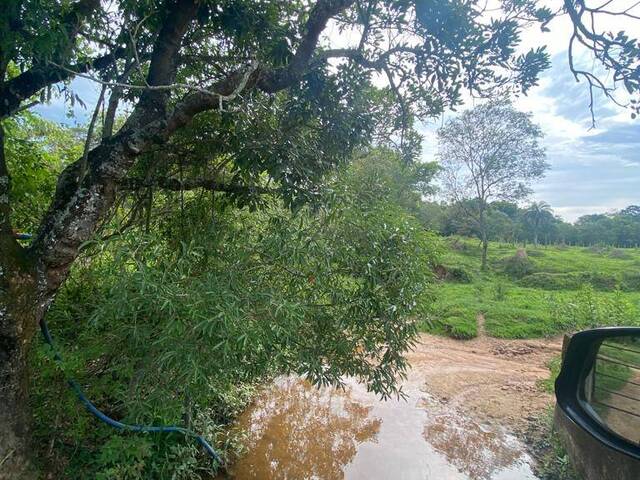 Área para Venda em Itaguara - 4