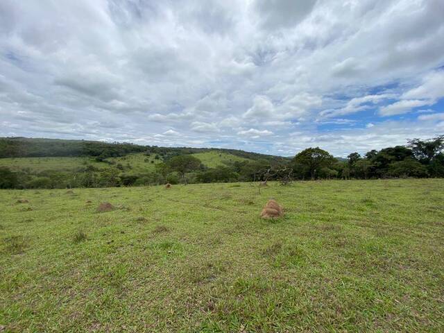 #366 - Terreno para Venda em Itatiaiuçu - MG - 3