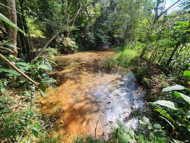 #455 - Terreno para Venda em Itatiaiuçu - MG - 1