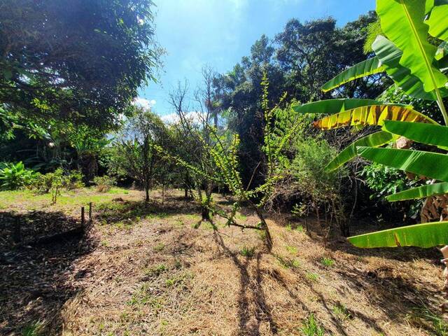 #455 - Terreno para Venda em Itatiaiuçu - MG - 2