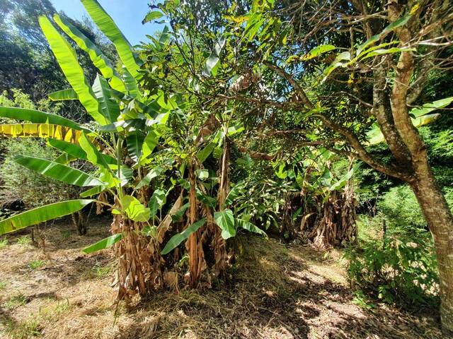 Terreno para Venda em Itatiaiuçu - 4