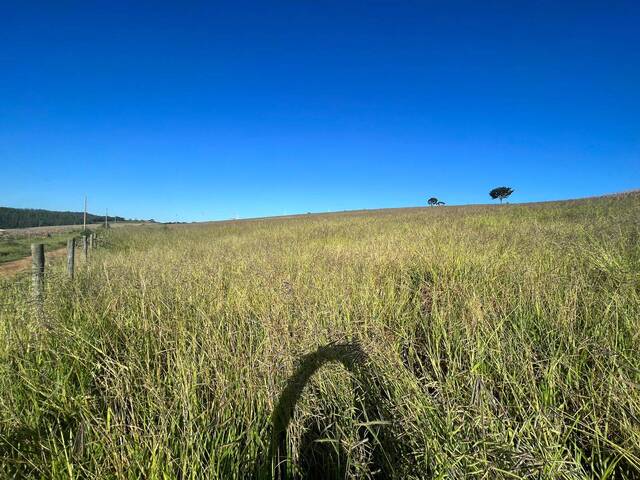 #463 - Terreno para Venda em Itatiaiuçu - MG