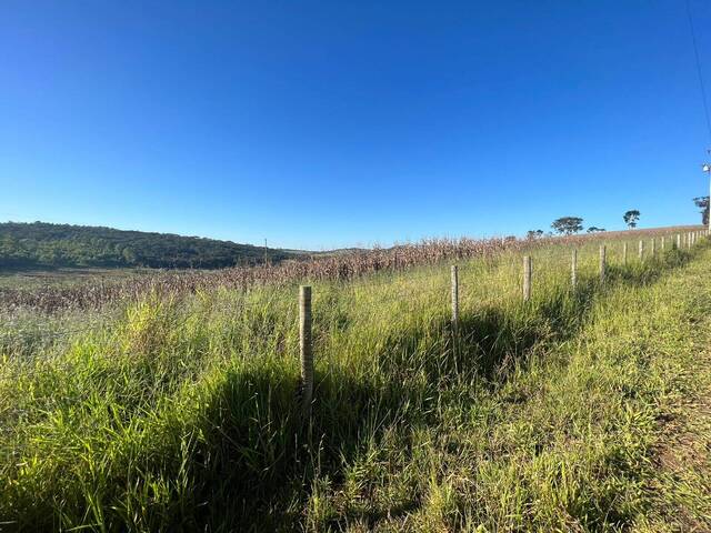 Terreno para Venda em Itatiaiuçu - 4