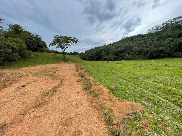 Área para Venda em Itatiaiuçu - 4