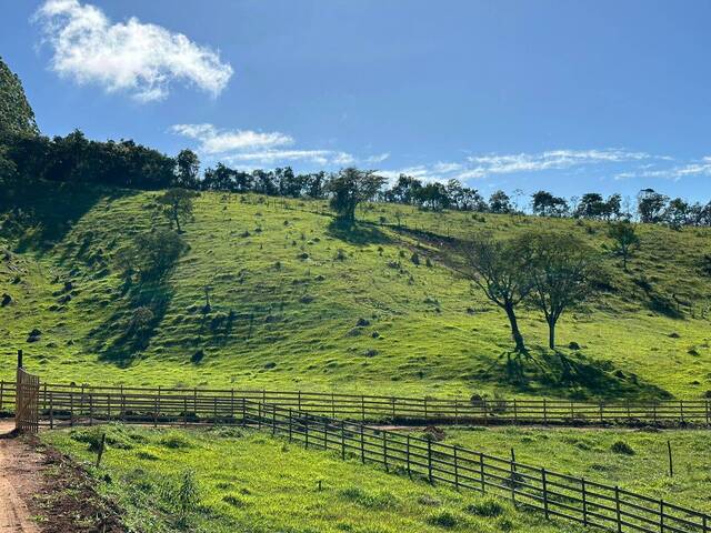 Área para Venda em Itatiaiuçu - 3