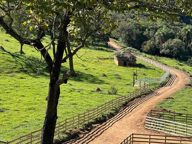 #516 - Área para Venda em Itatiaiuçu - MG - 2