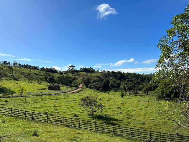 #516 - Área para Venda em Itatiaiuçu - MG - 1