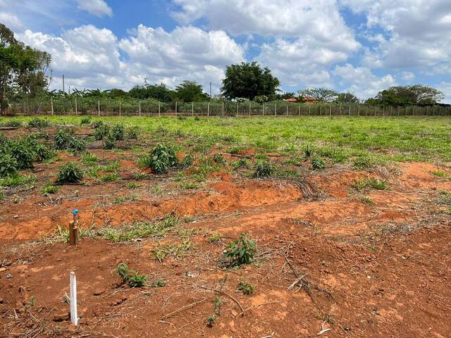 #586 - Terreno para Venda em Igarapé - MG - 2