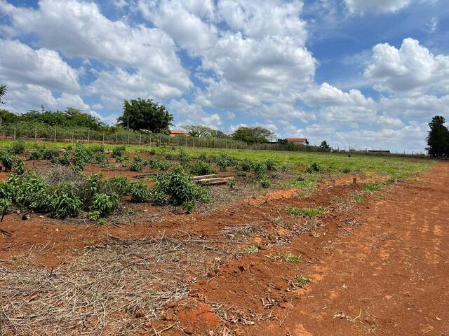 #586 - Terreno para Venda em Igarapé - MG - 3