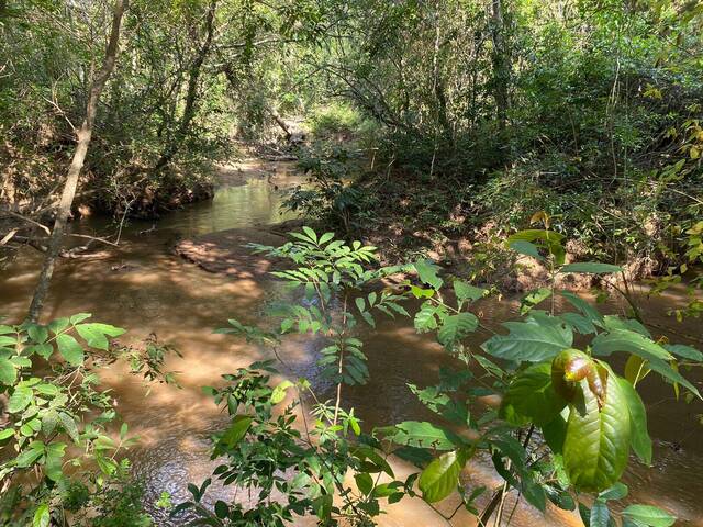 Sítio para Venda em Carmópolis de Minas - 5