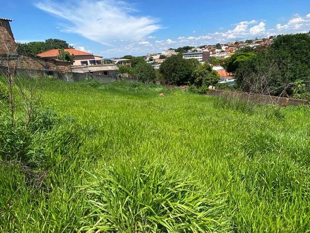 Área para Venda em Igarapé - 5