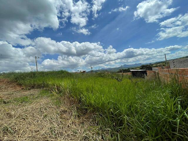 Terreno para Venda em Itatiaiuçu - 4