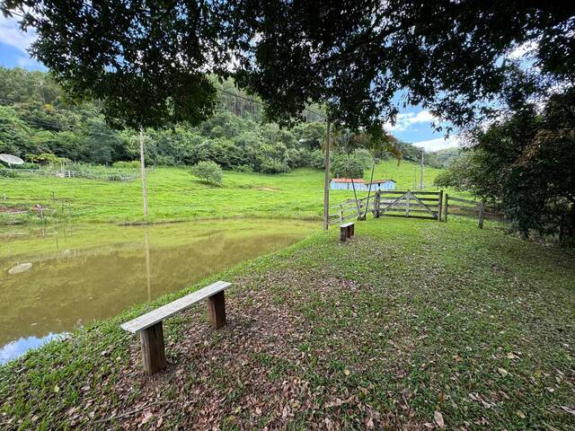 #699 - Fazenda para Venda em Cláudio - MG - 2