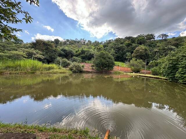 Fazenda para Venda em Cláudio - 5