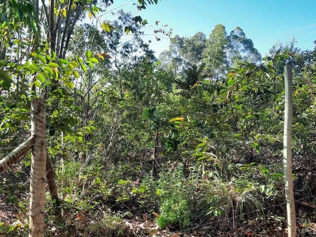 #700 - Terreno para Venda em Itatiaiuçu - MG - 2