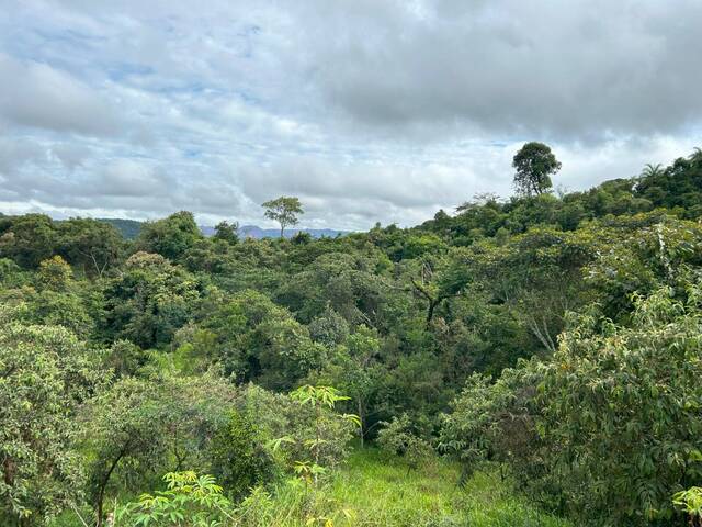 Área para Venda em Itatiaiuçu - 5