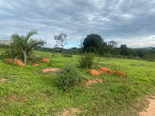 #769 - Terreno para Venda em Itaguara - MG - 2