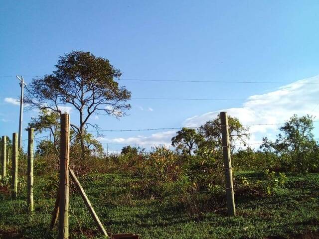 #771 - Terreno para Venda em Itatiaiuçu - MG - 2