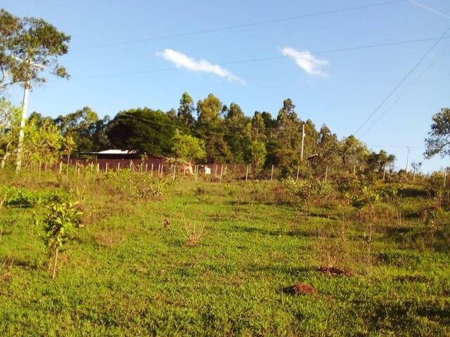 #771 - Terreno para Venda em Itatiaiuçu - MG - 3