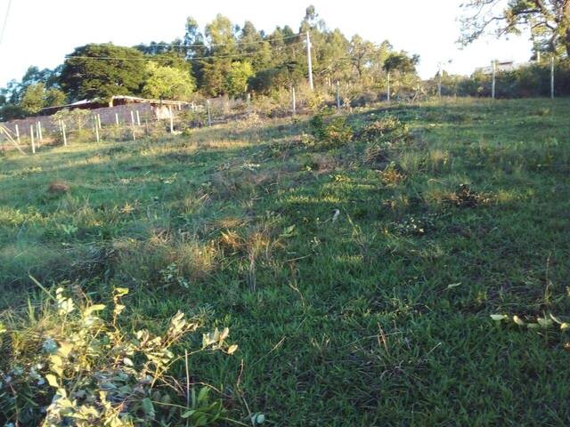 Terreno para Venda em Itatiaiuçu - 4