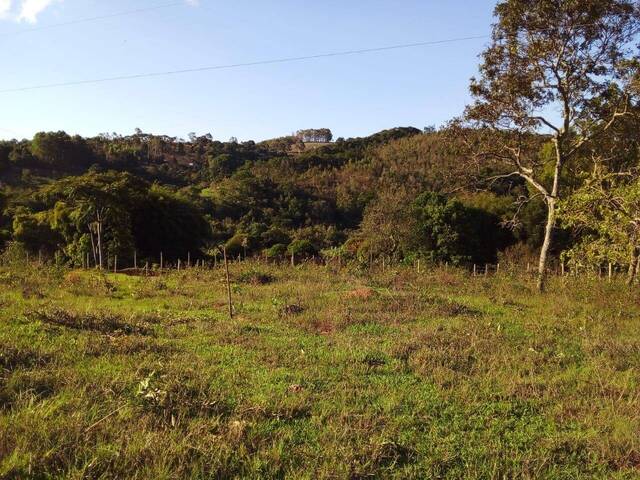 Terreno para Venda em Itatiaiuçu - 5