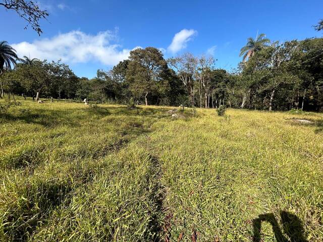 #780 - Terreno para Venda em Itatiaiuçu - MG - 1