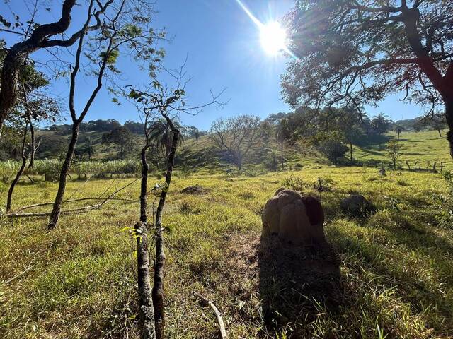 #780 - Terreno para Venda em Itatiaiuçu - MG - 3