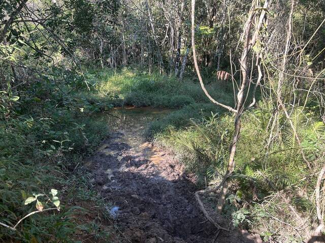 Terreno para Venda em Itatiaiuçu - 5