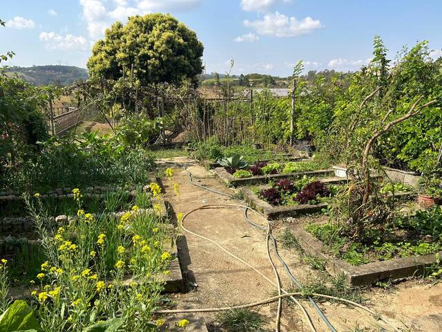 #794 - Fazenda para Venda em Itatiaiuçu - MG - 3