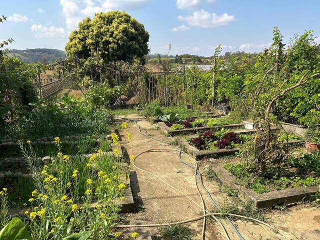 Fazenda para Venda em Itatiaiuçu - 4