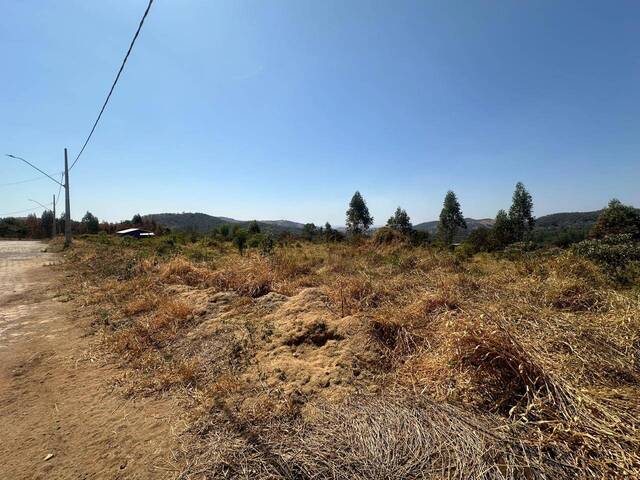 Terreno para Venda em Carmo do Cajuru - 5