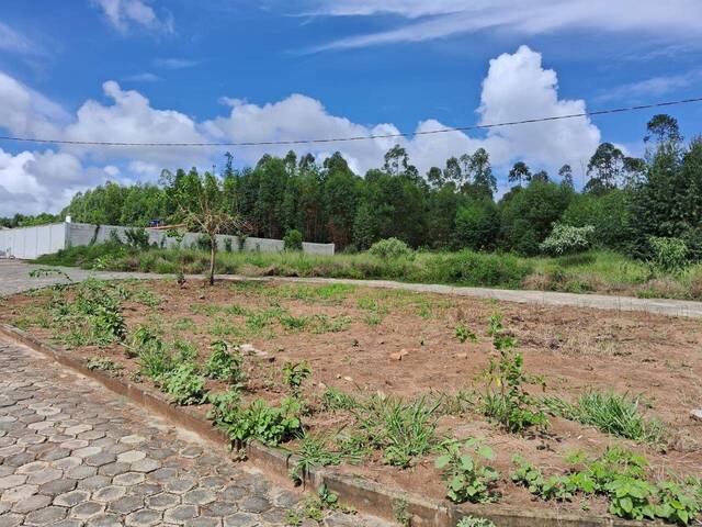 #824 - Terreno para Venda em Carmo do Cajuru - MG - 1