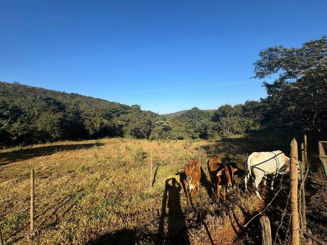 #831 - Chácara para Venda em Itatiaiuçu - MG - 2