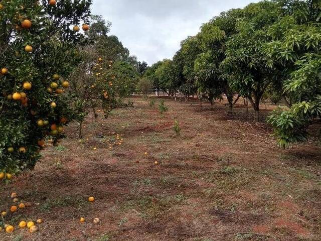 Sítio para Venda em Mateus Leme - 5