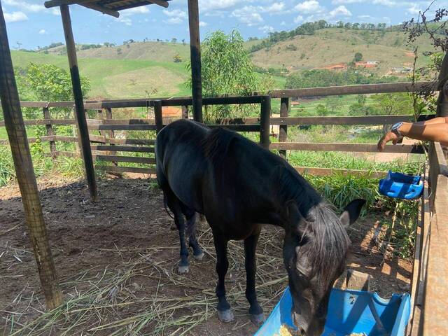 #856 - Fazenda para Venda em Rio Manso - MG - 2