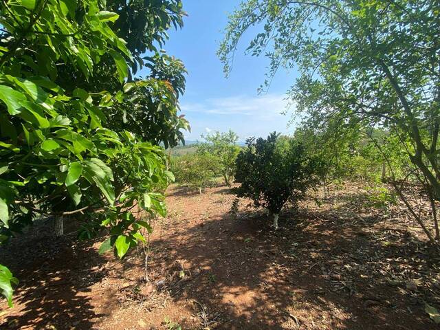 #856 - Fazenda para Venda em Rio Manso - MG - 3