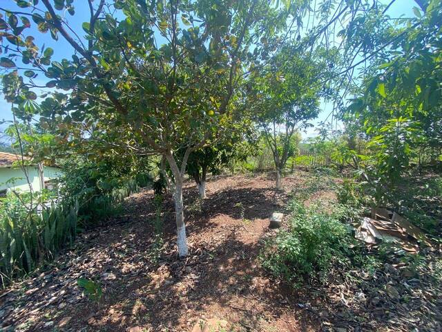 Fazenda para Venda em Rio Manso - 5