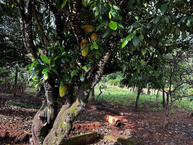 #867 - Terreno para Venda em Itatiaiuçu - MG - 3