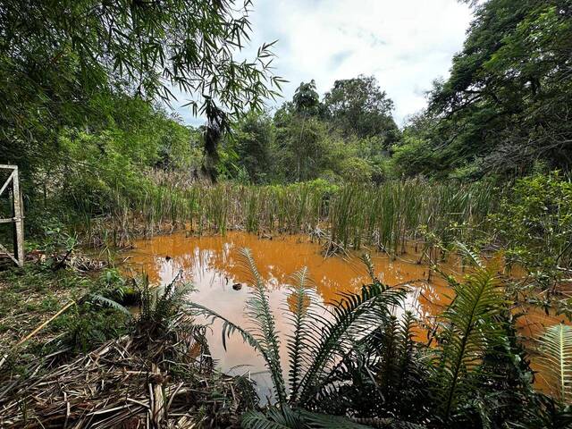 #873 - Sítio para Venda em Rio Manso - MG - 3